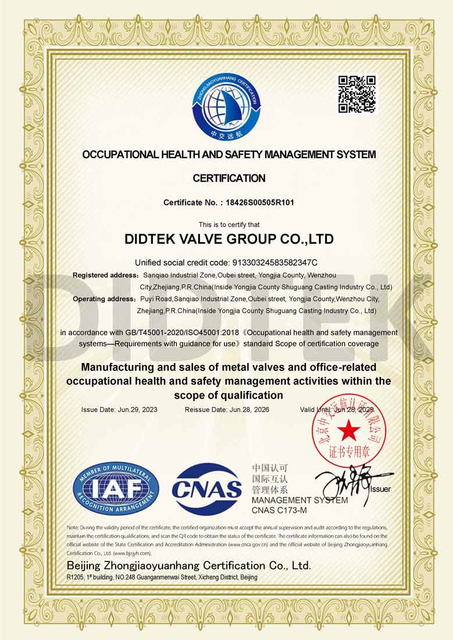 Didtek Occupational Health And Safety Management Systems Certification ISO 45001 778